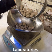 Laboratories Icon.jpg